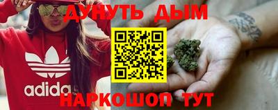 PSILOCYBIN Малоярославец