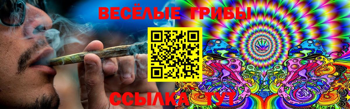 Губаха  наркотики  Вход с VPN  Псилоцибиновые грибы ЛСД  Псилоцибиновые грибы Magic Shrooms 